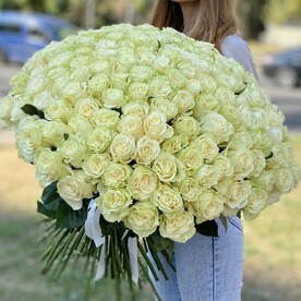 151 роза мондиаль