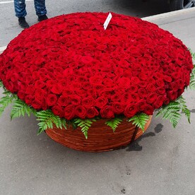Вместо тысячи слов