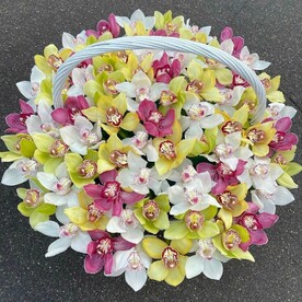 Орхидея, Зелень, Флористическая губка, Корзина