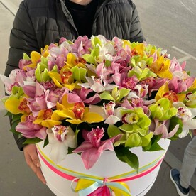 Орхидея цимбидиум, Удленитель, Флористическая губка, Шляпная коробка