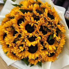 Подсолнух 🌻