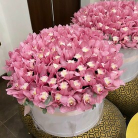 Орхидея, Флористическая губка, Шляпная коробка
