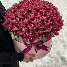 Орхидеи в коробке🌺
