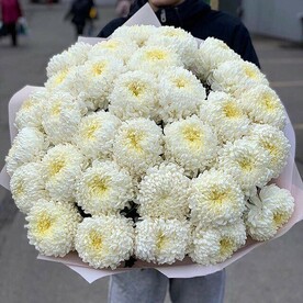 Крымская хризантема