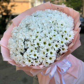 Хризантема бакарди, Дизайнерская упаковка