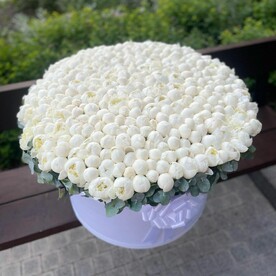 Пион белый, Эвкалипт, Флористическая губка, Шляпная коробка