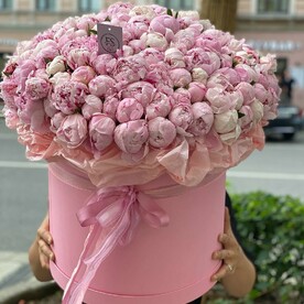 201 пион в коробке