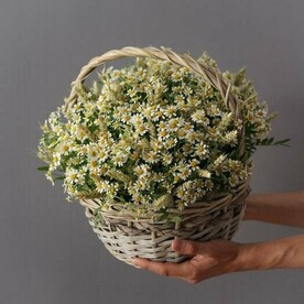 Композиция из ромашек