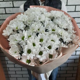 Хризантема бакарди, Дизайнерская упаковка
