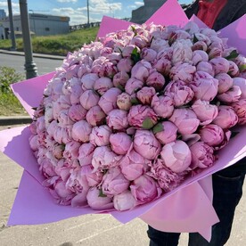 Дом Пион