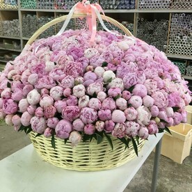 501 Пион в корзине