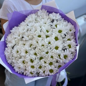 Ромашка 🌸