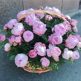 Ароматная корзина из 51 пиона