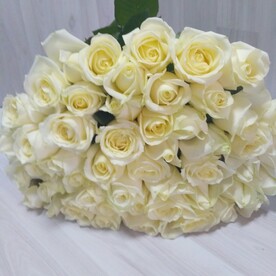 Роза аваланч шт