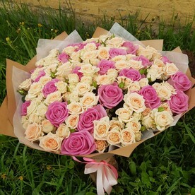 Роза кустовая, Роза аква, Упаковка