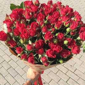 Роза кустовая, Крафт