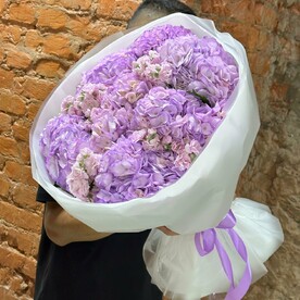 Гортензия, Маттиола, Упаковка