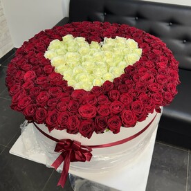 Роза ред наоми, Роза аваланч, Оазис, Шляпная коробка
