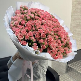 Кустовые розы Грация