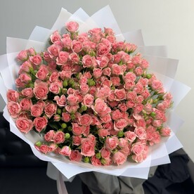 Кустовые розы грация