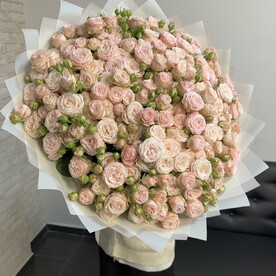 Кустовые розы бомбастик