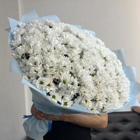 45 кустовых хризантем ♥️😍