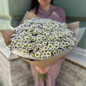 Монобукет из ромашек