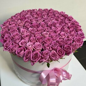 Коробка из 101 розовой розы