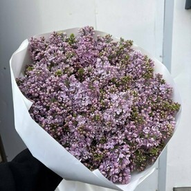 Букет сирени
