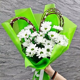 Хризантема кустовая, Верба, Дизайнерская упаковка