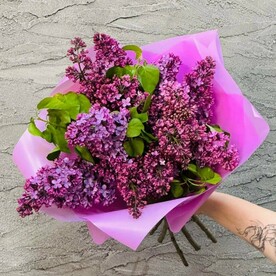 Сирень крупная 5 веток. Букет ароматной сирени в дизайнерской упаковке. Живые цветы