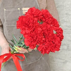 9 красных гвоздик с лентой. Красные гвоздики на 9 мая