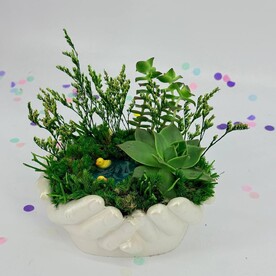 Авторская композиция комнатных растений суккулентов с искусственным водоёмом в кашпо руки Давида "Уточки на пруду"
