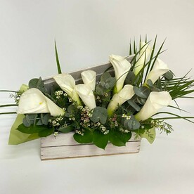 Калла, Хамелациум, Эвкалипт, Финик робелини, Рускус, Ящик деревянный