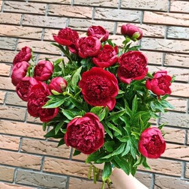 Пион