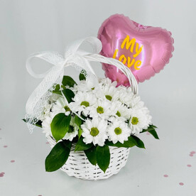 Хризантема кустовая шт, Рускус шт, Корзина шт