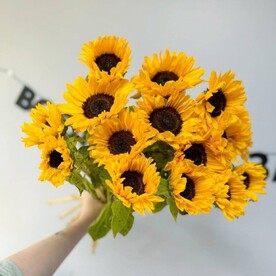 15 подсолнухов