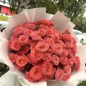 15 кустовых роз