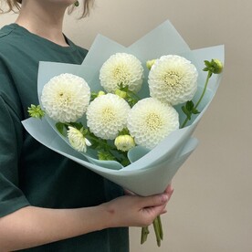Букет из 5 белых георгинов