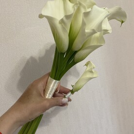 Калла