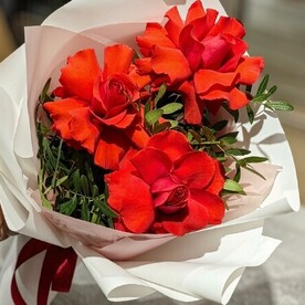 Роза французская, Фисташка