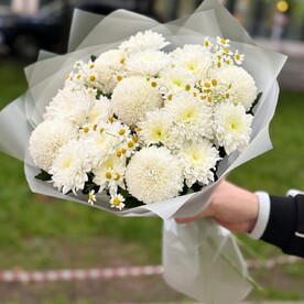 Танацетум, Хризантема кустовая, Хризантема одноголовая, Упаковка
