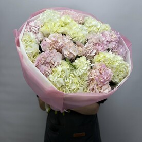 Гортензия, Упаковка