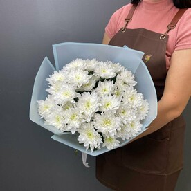 Хризантема кустовая, Упаковка