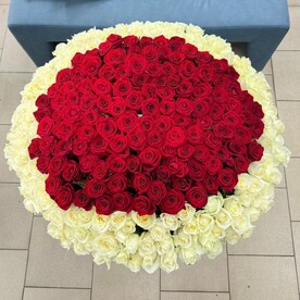 301 роза в корзине