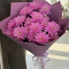 Розовые хризантемы
