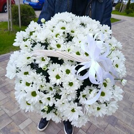 Ромашковая корзина