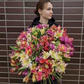 Микс из 51 альстромерии