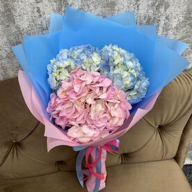 Микс из 3 гортензий