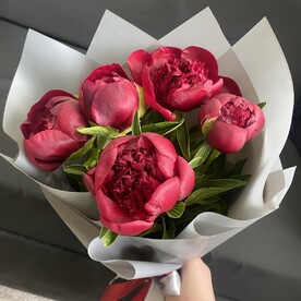 Букет из 5 бордовых пионов